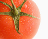 The Essential Organic Tomato Enhancing Herbs Collection.