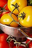 NEW! Organic Healthy Tomato With Herbs Companion Garden.