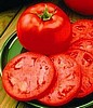Homestead 24 Tomato Seeds