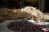 NEW! Biodynamic Jacob Cattle Soup Beans