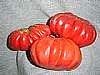 Pink Accordion Tomato Seeds