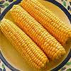 NEW! Ashworth Sweet Corn