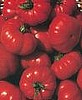 Costoluto Fiorentino, Tomato.