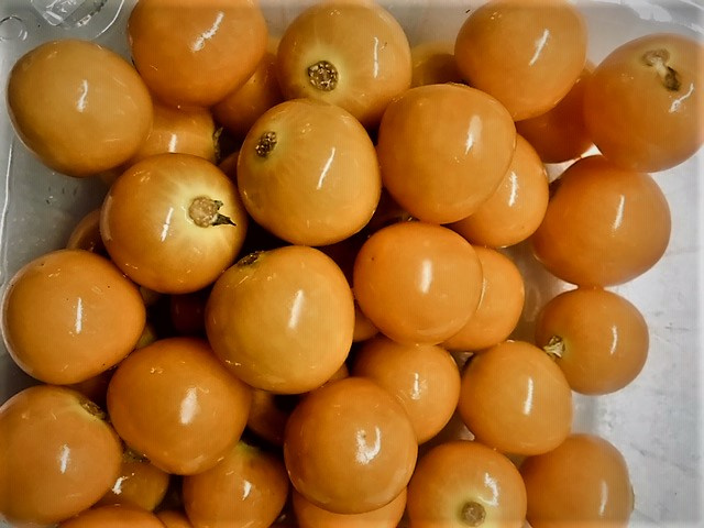 Goldenberry Peruvian