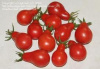 Tomato Red Pear