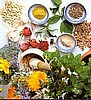 Organic Ayurvedic Medicinal Garden Collection.