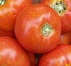 Heirloom High Carotene Tomato