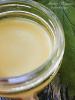 Organic Herpes/Cold Sores Virus Control Fresh Lemon Balm Ointment